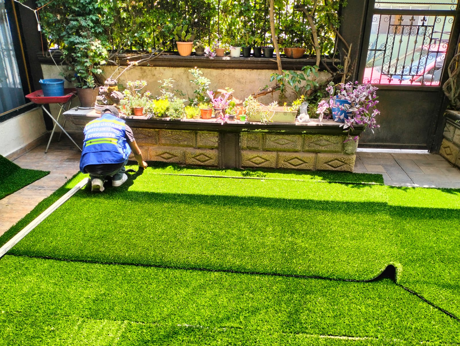 Pasto Residencial